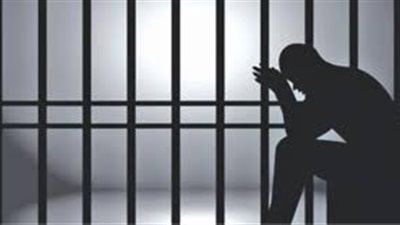 من كوبري أكتوبر إلى قفص الاستئناف.. تخفيف حكم السائح الكويتي إلى سنة