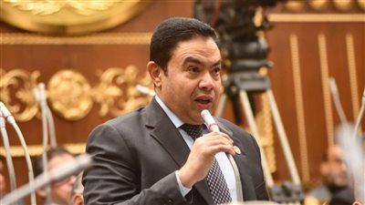 الشرقاوي يحذر من آثار تعديل تسعير الكهرباء على محدودي الدخل ويطالب بمراجعة القرار