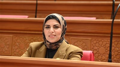 تعليم النواب تناقش طلب النائبة نهال أبو وافية حول أزمة خريجي التعليم المدمج والمفتوح .. الأربعاء المقبل