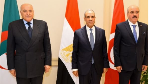 آلية دول الجوار في القاهرة: الحل الليبي-الليبي هو الطريق الوحيد لإنهاء الأزمة