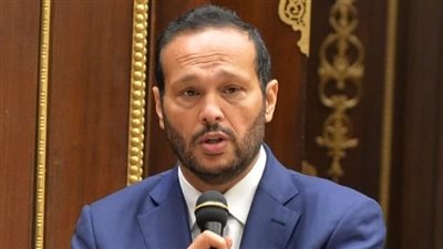 بالإجماع.. محمد حلاوة رئيسًا للجنة التجارة بالبرلمان الإفريقي