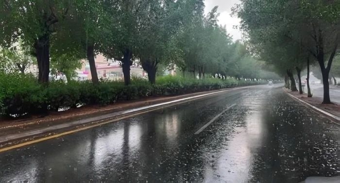 أمطار رعدية وجريان السيول في جازان وعسير والباحة — سبق