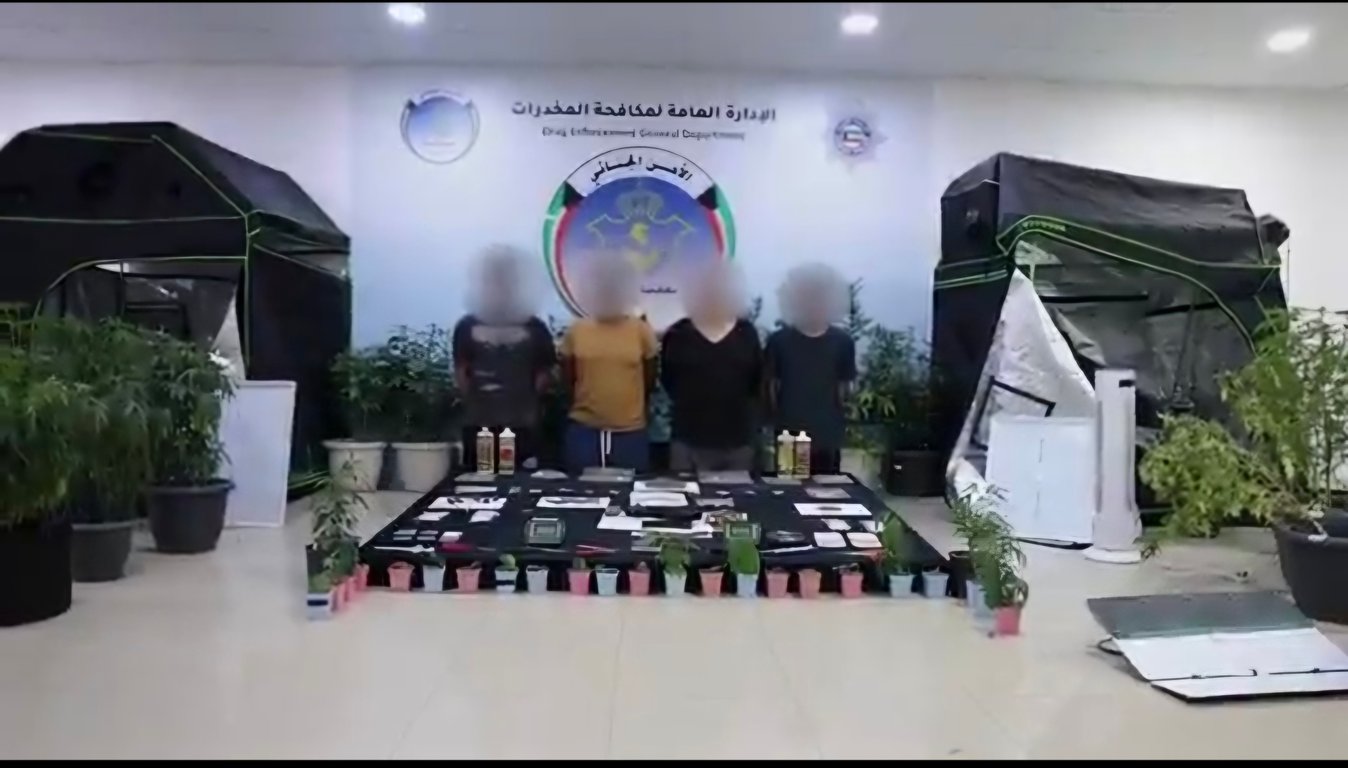 مداهمة تكشف عن مزرعة “ماريجوانا” متكاملة تعمل بتجهيزات متقدمة وتطيح بأربعة متورطين في حيازة وزراعة مواد مخدرة