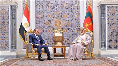 أمن الدول العربية جزء لا يتجزأ من الأمن القومي المصري