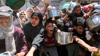 الهلال الأحمر: اللجنة المصرية للإغاثة تتولى توزيع مساعدات اللحوم المطهية داخل قطاع غزة