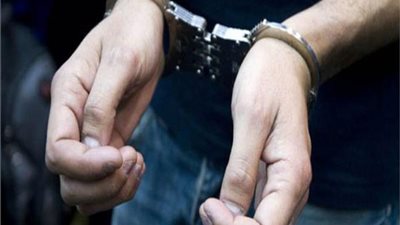 “قناص الإسكندرية” في قبضة الأمن.. طبيبة بيطرية تكشف تفاصيل قتل قطط ببندقية ضغط هواء