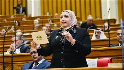 «حق أساسي وليس رفاهية».. النائبة سحر عتمان تطالب بـ دعم ومد الأسرالأولى بالرعاية بالإنترنت