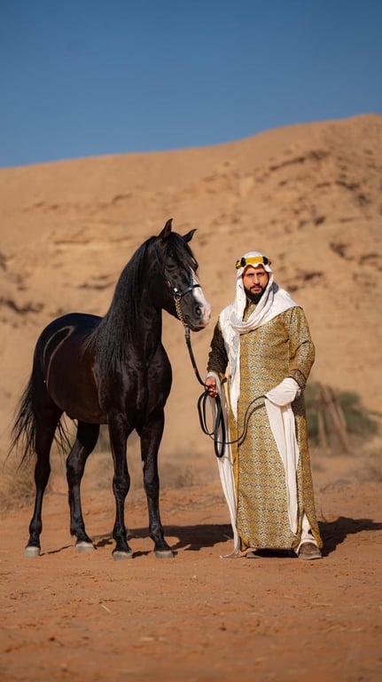 الجواد العربي السعودي: رمز الفروسية والهوية الوطنية