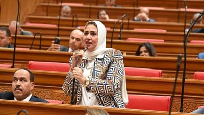 مجلس النواب يناقش طلب النائب سحر صدقي بشأن سياسة الحكومة لسد العجز في أعداد الأطباء