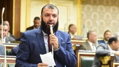 النائب أحمد خليل خيرالله يتقدم بطلب إحاطة لوضع خطة عاجلة لمواجهة انتشار الكلاب الضالة بالشوارع