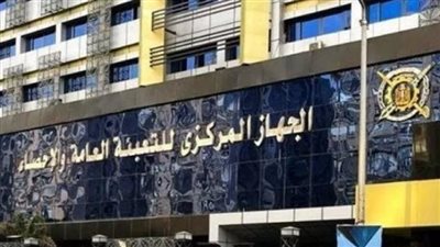 قفزة نسائية في سوق العمل.. الإحصاء: الإناث الأكثر اشتراكًا في التأمينات الاجتماعية خلال 2025