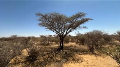 اختناق الأنهار: التغير المناخي يلتهم الأكسجين من المجاري المائية ويهدد بظهور “مناطق ميتة”