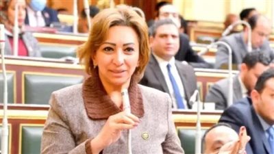 النائبة مها عبد الناصر لـ تحيا مصر: الإنترنت لم يعد رفاهية.. ويجب دعمه لمحدودي الدخل وربطه بحق التعليم