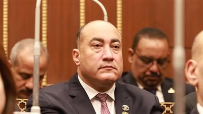 النائب عمرو رشاد: الرئيس السيسي وضع المصريين أمام حجم الإنجاز الحقيقي في مشروع الدلتا الجديدة