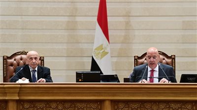 بحضور عقيلة صالح.. انطلاق الجلسة العامة لمجلس النواب لبحث عزيز العلاقات المصرية الليبية..ومناقشة مد الدورة النقابية وتنظيم منشآت الأمن والأمان البيولوجي