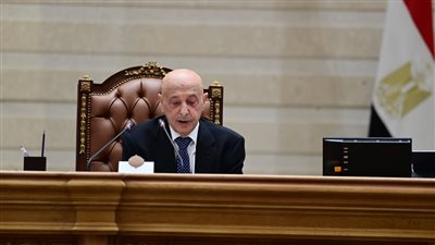 رئيس البرلمان الليبي من مجلس النواب: مصر لم تتخلَّ يومًا عن ليبيا.. والعلاقة بين الشعبين أكبر من كل المؤامرات