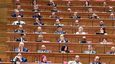 نائب ليبي من داخل البرلمان المصري: مصر لم تتعامل معنا كأشقاء فقط بل كإخوة.. والشعب الليبي لن ينسى مواقفها