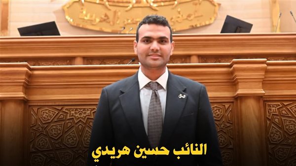 النائب حسين هريدي يدعو لوقف تكرار الفحص الطبي لمستحقي المعاشات