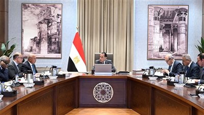 رئيس الوزراء يستعرض جهود تعزيز الربط والتبادل التجاري واللوجيستي مع الدول الإفريقية