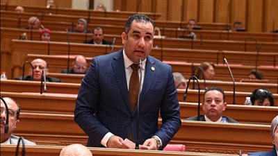 النائب أحمد علي يتقدم بطلب إحاطة بسبب ملف العدادات الكودية وتعقيد إجراءات الكهرباء