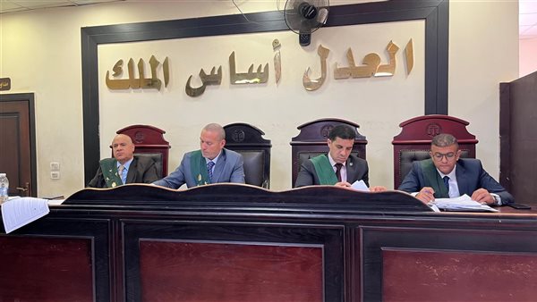 المؤبد لمتهم بخطف وهتك عرض فتاة من ذوي الاحتياجات الخاصة في دمنهور