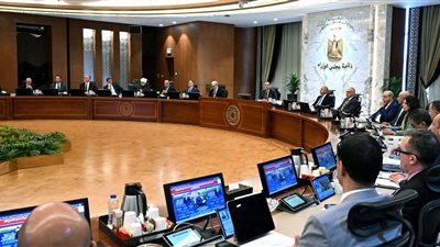 الحكومة توافق على العفو عن باقي مدة العقوبة لبعض المحكوم عليهم بمناسبة الاحتفال بثورة 30 يونيو