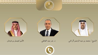 في اتصالين مع الرياض والدوحة.. وزير الخارجية يقود تحركاً مصرياً مكثفاً مع الأشقاء في الخليج لتهدئة الأوضاع