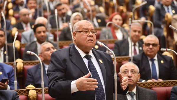 ناجي الشهابي: مشروع الدلتا الجديدة يعزز الاكتفاء الذاتي ويدعم العملة الوطنية