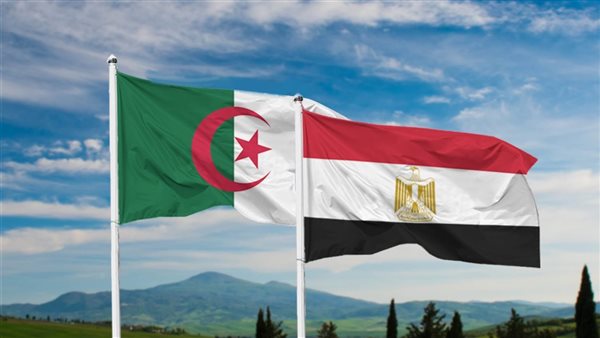 مصر والجزائر تسعيان بجد لتجنب تفاقم الأوضاع في ليبيا