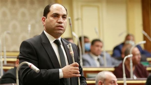 عمرو درويش: البرلمان يتخذ موقفاً حازماً ضد أي مسؤول مقصر
