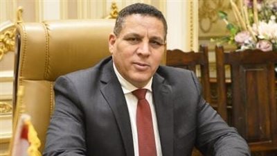 برلماني: لقاء وزير الصناعة مع الغرفة الفرنسية يعزز جذب الاستثمارات ويدعم نهضة الصناعة المصرية