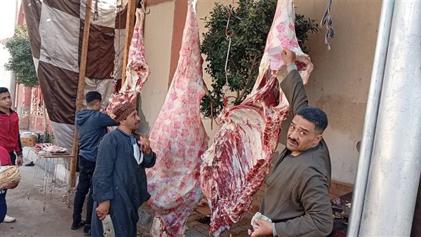 قفزة تاريخية في أسعار اللحوم: الجملي يرتفع 300% منذ 2021