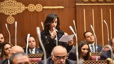 عضو خارجية الشيوخ : فتح سفارة لكيان انفصالي بالقدس انتهاك فاضح لقرارات مجلس الأمن