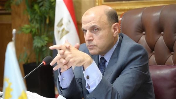 محافظ الغربية: ضبط 500 كيلوجرام من اللحوم والدواجن الفاسدة قبل العيد