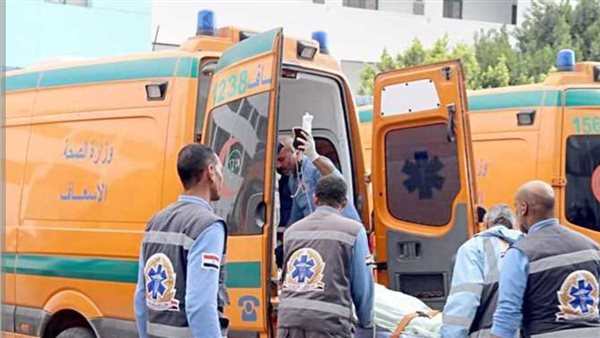 مصرع 4 وإصابة 6 في انقلاب ميكروباص على طريق القابوطي ببورسعيد