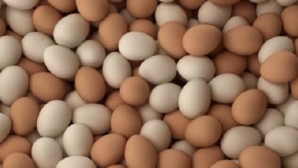 سعر كرتونة البيض في مصر اليوم الأحد 24 مايو 2026