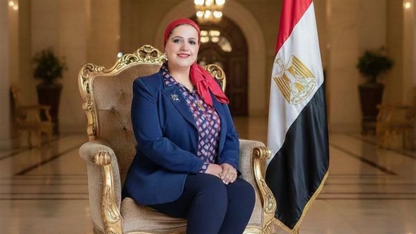 القومي للمرأة يهنئ رشا علي الدين بتولي رئاسة المجلس العربي للقانون والتكنولوجيا