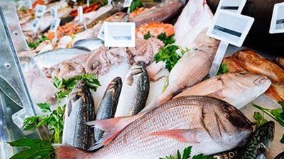 الجمبري يتراجع فجأة.. مفاجآت في أسعار الأسماك اليوم