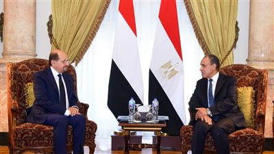 ​«الحوار الاستراتيجي المصري اليمني».. توافق حاسم على رفض عسكرة البحر الأحمر وحماية الملاحة