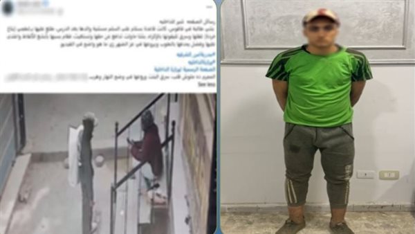 ضبط عامل خردة أثناء محاولته سرقة هاتف طالبة والاعتداء عليها في الشرقية