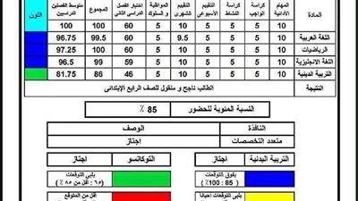 نتيجة الصف الثالث الابتدائي 2026 بالقاهرة متاحة الآن.. تعرف على رابط الاستعلام