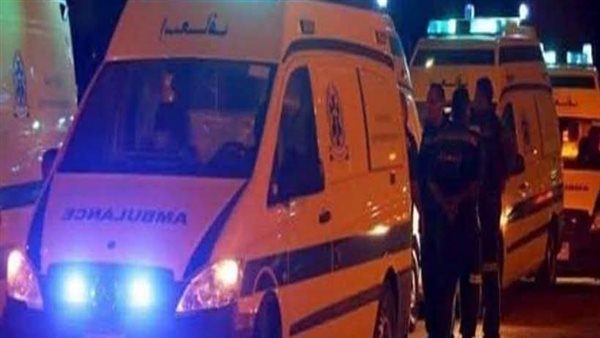 إصابة شخصين جراء اصطدام سيارة يقودها مراهق في دلة بالفيوم