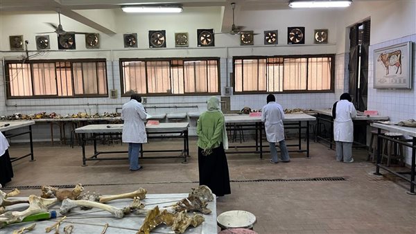 طلاب كليات القطاع الصحي بجامعة القاهرة الأهلية يخوضون الامتحانات العملية في أجواء منظمة ومنضبطة