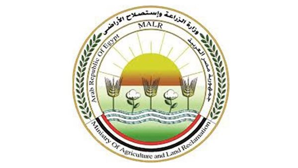 الزراعة تكشف عن زيادة ملحوظة في صادرات الخيول العربية للأسواق الأوروبية