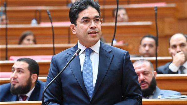 ضياء الدين داود: مصر ترحب بعقيلة صالح بلا أطماع سياسية