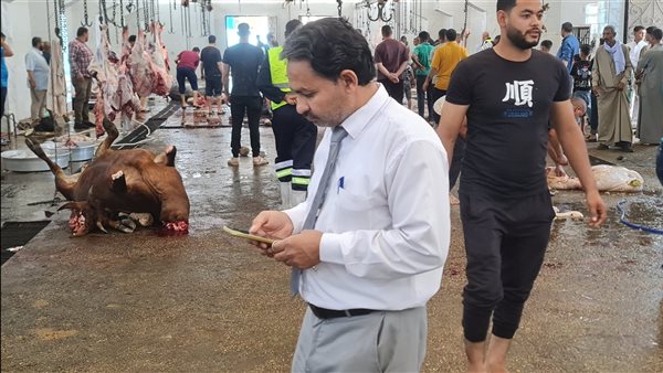 نجاة مسؤول جمعية خيرية في بني سويف بعد حادث هروب عجل في المجزر