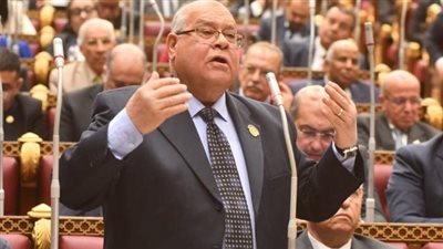 الشهابي لـ تحيا مصر: الاقتصاد الحقيقي يعتمد على الصناعة والزراعة والتكنولوجيا والتصدير