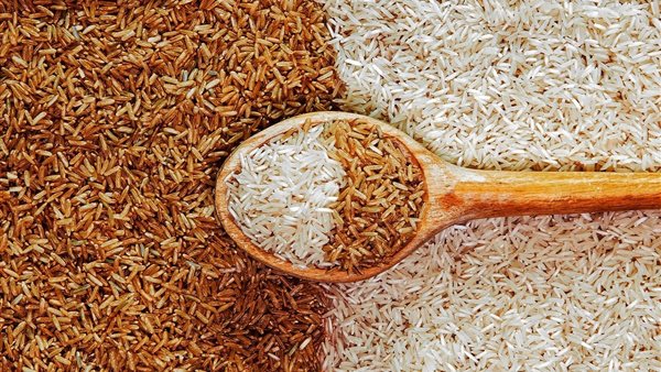 تحديث أسعار طن الأرز الشعير والأرز الأبيض في 28 مايو 2026