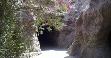 حدائق الحيوان والأسماك الإقليمية تستقبل آلاف الزوار خلال فترة العيد