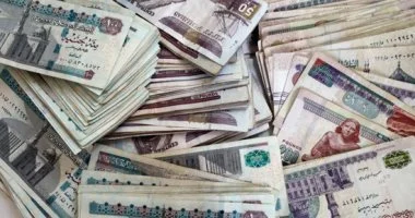 تحليل مصادر الإيرادات الضريبية لتعزيز قوة المالية العامة في مصر